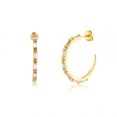 New C earrings