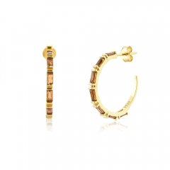 New C earrings