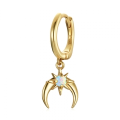 Hoop earrings